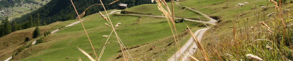 spatial-linkedscience-940x198